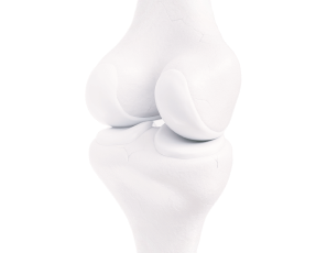 Авиценна – Медицинский центр