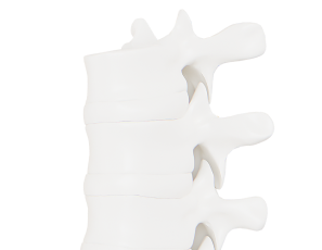 Авиценна – Медицинский центр